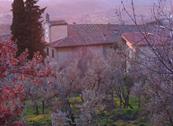 Casa Cares - Reggello