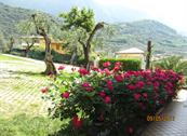 Appartamenti Villa Eden - Malcesine