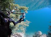Green Holiday - Appartamenti per Vacanza - Ledro