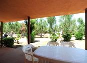 Camping Village Parco degli ulivi - Peschici