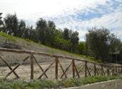 Agriturismo Valle dei Gelsi - Peschici