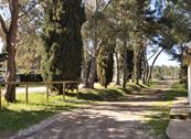 Case Vacanza Rinsacca - Populonia