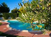 Tenuta Ca'zen - Taglio di Po