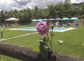 Agriturismo La Coccinella - Cortona
