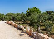 L'Antica Marina - Martina Franca