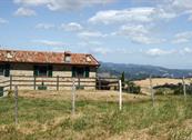 Agriturismo Prato Grande - Loiano