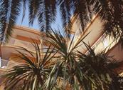 Residence Orchidea - Pietra Ligure