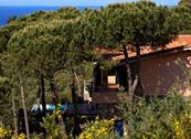 Tenuta delle Ripalte - Capoliveri