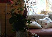 Hotel B&B Funivia - Courmayeur