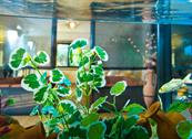 Hotel Doria - San Benedetto del Tronto