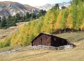 B&B Campaciòl - Livigno