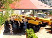 Hotel Baia del Sorriso - Castiglioncello