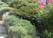 Best House - Bormio