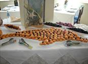 ALBERGO LADY MARY - Milano Marittima
