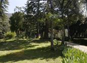 Villa Pitiana - Reggello