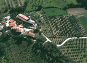 Agriturismo Corzano - Barberino di Mugello