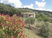 Agriturismo La Coccinella - Cortona