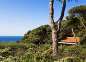 Tenuta delle Ripalte - Capoliveri