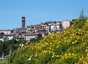 SPINEROLA Hotel in Cascina & Restaurant UvaSpina - Moncalvo