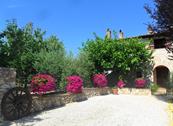 Casale Santa Caterina - Amelia