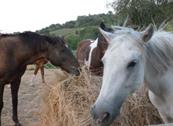 B&B Timeout - Polverigi