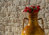 Tenuta Odegitria - Martina Franca