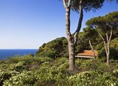 Tenuta delle Ripalte - Capoliveri