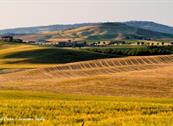 Hotel Osteria dell'Orcia - Castiglione d'Orcia