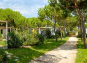 Villaggio Turistico Adriatico - Jesolo