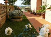 La Mimosa Affittacamere - Bolgheri