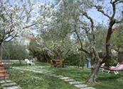 B&B I Cappuccini - Lucignano
