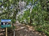 Camping Maremma Sans Souci - Castiglione della Pescaia