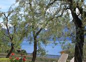 Hotel Riviera - Limone sul Garda