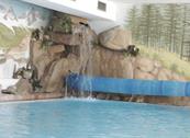 Hotel Bucaneve - Livigno