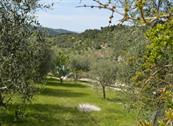 Agriturismo Valle dei Gelsi - Peschici