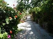 Hotel Villaggio Tabù - Palinuro