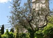 Residenza d'epoca San Crispino - Assisi