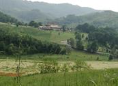 Monferrato Resort - Cereseto Monferrato