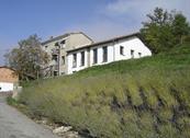 I Sette Borghi - Massa e Cozzile