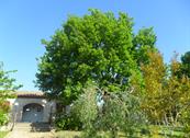 Casale Santa Caterina - Amelia
