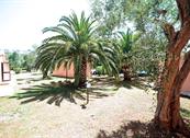 Camping Village Parco degli ulivi - Peschici
