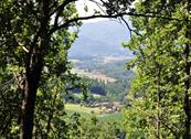 Bed and Breakfast Mugello - Vicchio