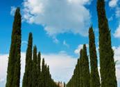 Hotel Osteria dell'Orcia - Castiglione d'Orcia