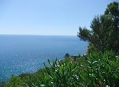 Costa del Mito - Caprioli