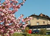 Monferrato Resort - Cereseto Monferrato