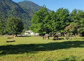 Appartamenti Chalet Moyra - Porlezza