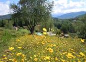 Podere la Piana - Fivizzano