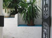 Hotel Riviera - Limone sul Garda