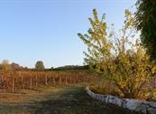 Monferrato Resort - Cereseto Monferrato