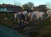 Agriturismo La Magia - Costigliole d'Asti